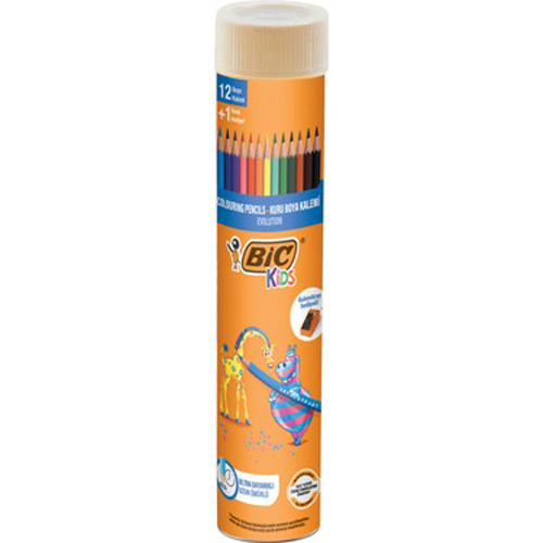 BİC 12'Lİ TÜP KURU BOYA