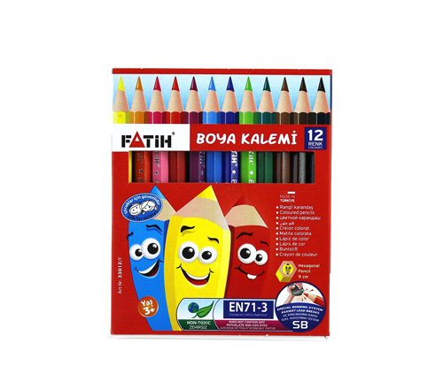 FATİH 12'Lİ TÜP KURU BOYA